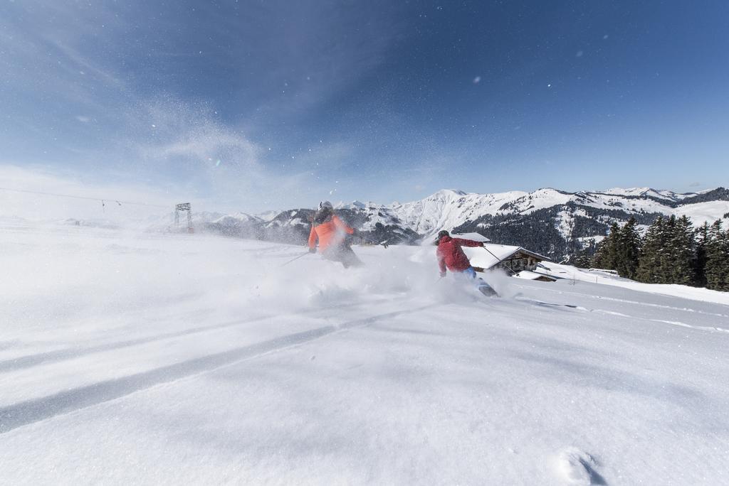 Apartchalet Almliebe Maria Alm am Steinernen Meer Eksteriør billede